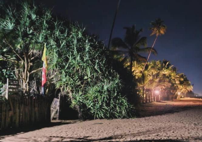 Lavila Beach Cottage Wadduwa Extérieur photo