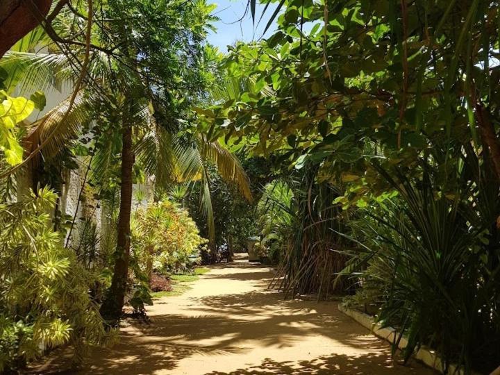 Lavila Beach Cottage Wadduwa Extérieur photo